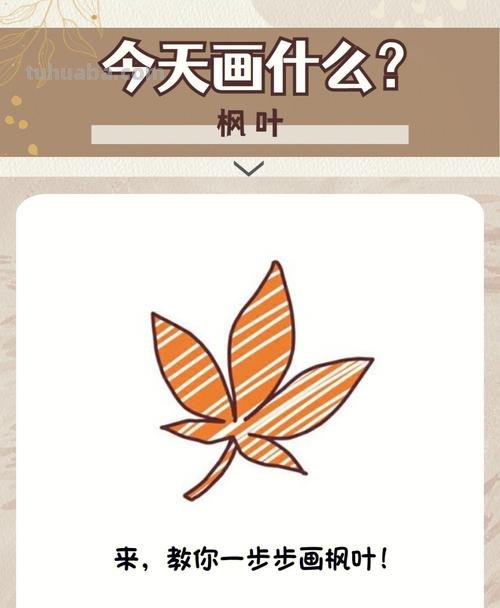 怎么画树叶的简笔画 简笔画枫叶的画法?