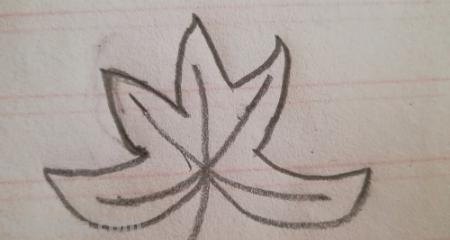 怎么画树叶的简笔画 简笔画枫叶的画法？