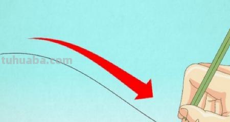 怎么画树叶的简笔画 简笔画枫叶的画法？