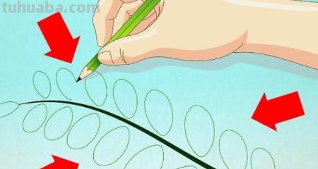 怎么画树叶的简笔画 简笔画枫叶的画法？