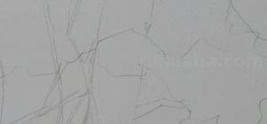静物速写树 素描时怎样画树的叶子？