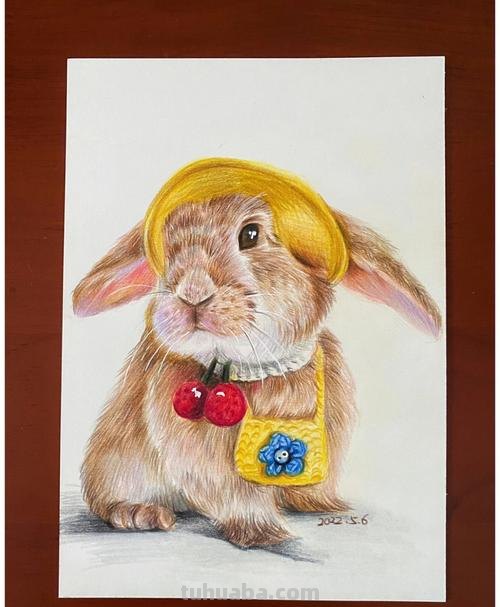 用彩铅画迪士尼动物怎么画 彩铅手绘兔子教程？