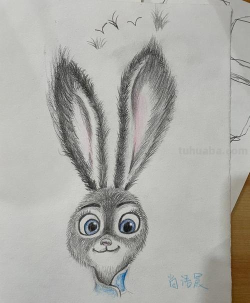 用彩铅画迪士尼动物怎么画 彩铅手绘兔子教程？