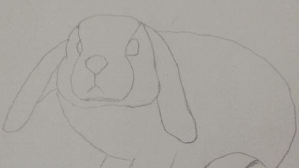 用彩铅画迪士尼动物怎么画 彩铅手绘兔子教程？