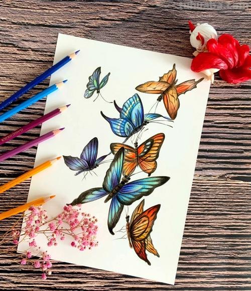 梦幻蝴蝶怎么画彩铅画教程 怎样把蝴蝶画的栩栩如生?