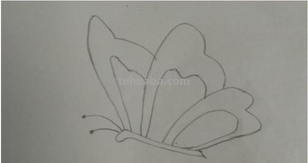 梦幻蝴蝶怎么画彩铅画教程 怎样把蝴蝶画的栩栩如生？