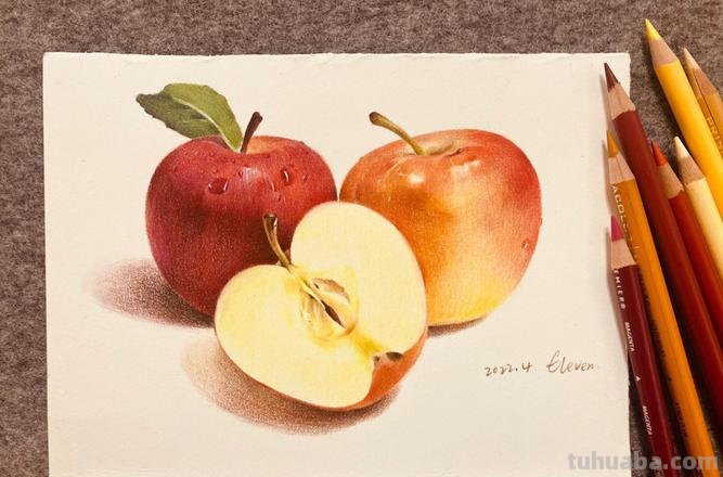 用彩铅画桌上苹果怎么画 色彩静物苹果的画法?