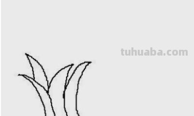 树的简笔画怎么画 大树的简笔画怎么画？