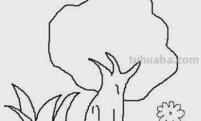 树的简笔画怎么画 大树的简笔画怎么画？