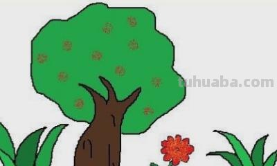 树的简笔画怎么画 大树的简笔画怎么画？