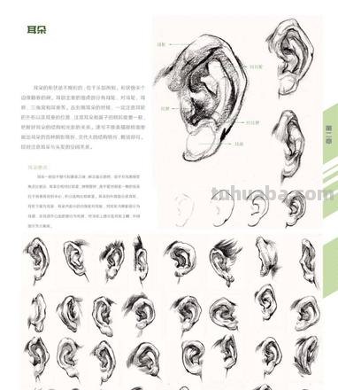 画技巧速写切忌 五官速写技巧口诀？