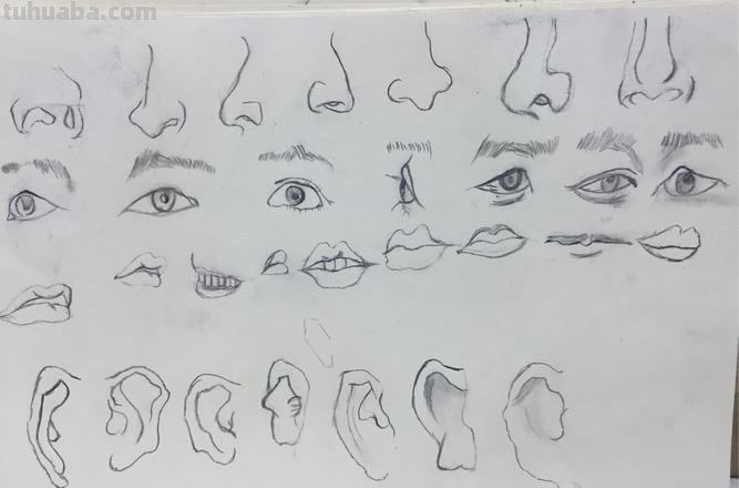 画技巧速写切忌 五官速写技巧口诀？