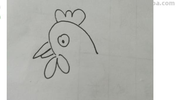 鸡的简笔画怎么画 怎样画简笔画大公鸡？
