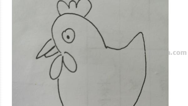 鸡的简笔画怎么画 怎样画简笔画大公鸡？