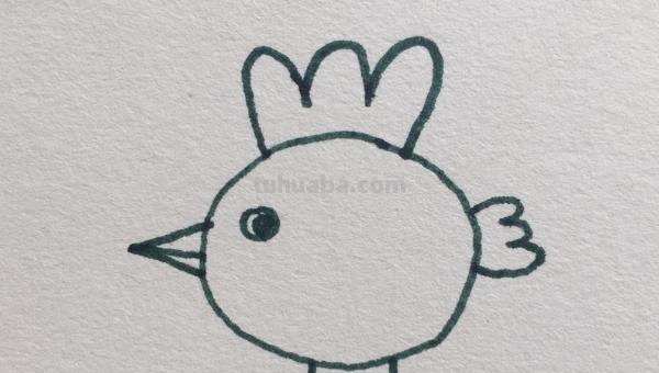 鸡的简笔画怎么画 怎样画简笔画大公鸡？