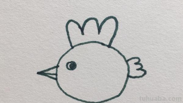 鸡的简笔画怎么画 怎样画简笔画大公鸡？