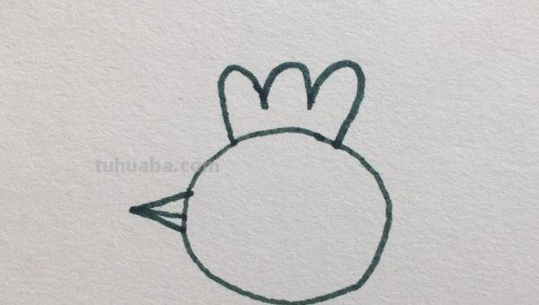 鸡的简笔画怎么画 怎样画简笔画大公鸡？