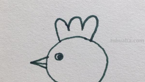 鸡的简笔画怎么画 怎样画简笔画大公鸡？