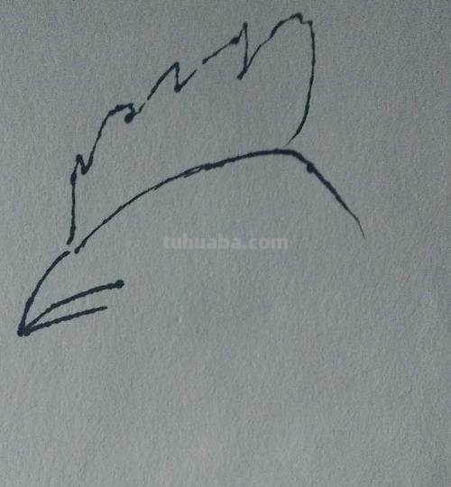 鸡的简笔画怎么画 怎样画简笔画大公鸡？