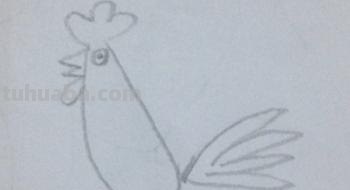 鸡的简笔画怎么画 怎样画简笔画大公鸡？