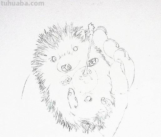 彩铅立体画铃铛怎么画 刺猬简笔画怎么画？