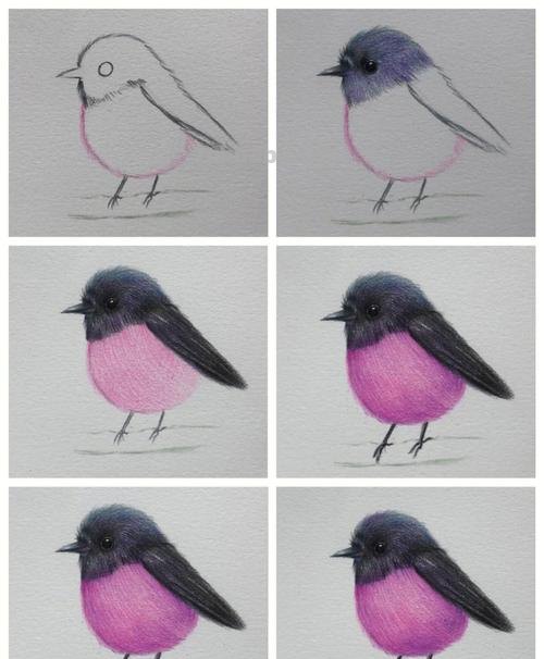 小鸟怎么画彩铅画简单可爱 儿童画画教程3-6岁画小鸟