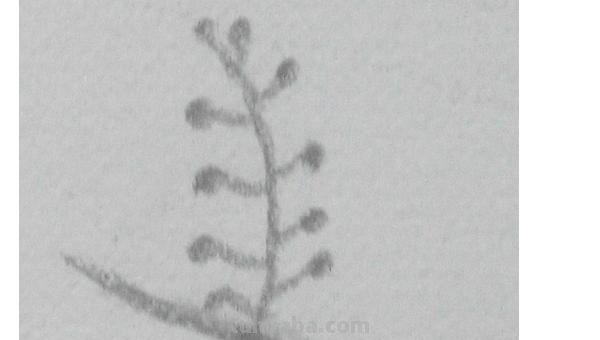 夜晚的乡村彩铅画怎么画 彩铅画自学教程风景？