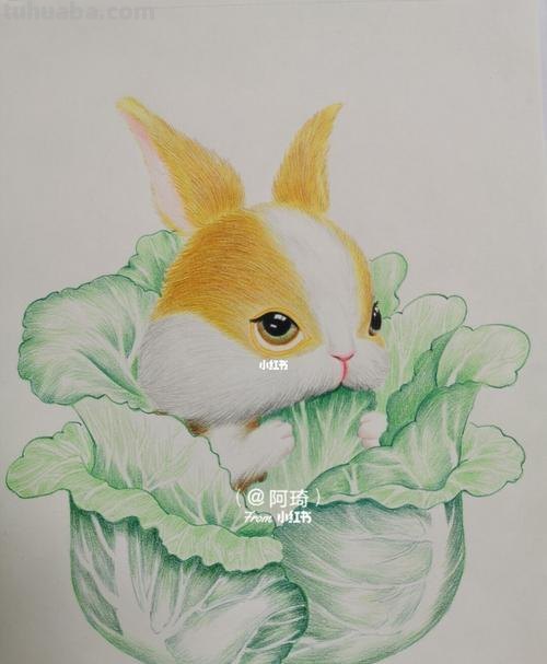 用彩铅画香蕉兔子怎么画 兔年彩铅画？