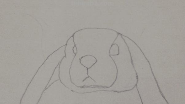 用彩铅画香蕉兔子怎么画 兔年彩铅画？