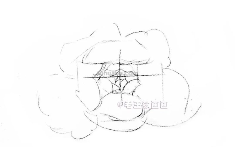 如何用彩铅画芍药花？这个教程教你画