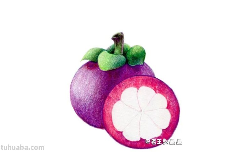 彩铅入门小教程 · 教你画山竹