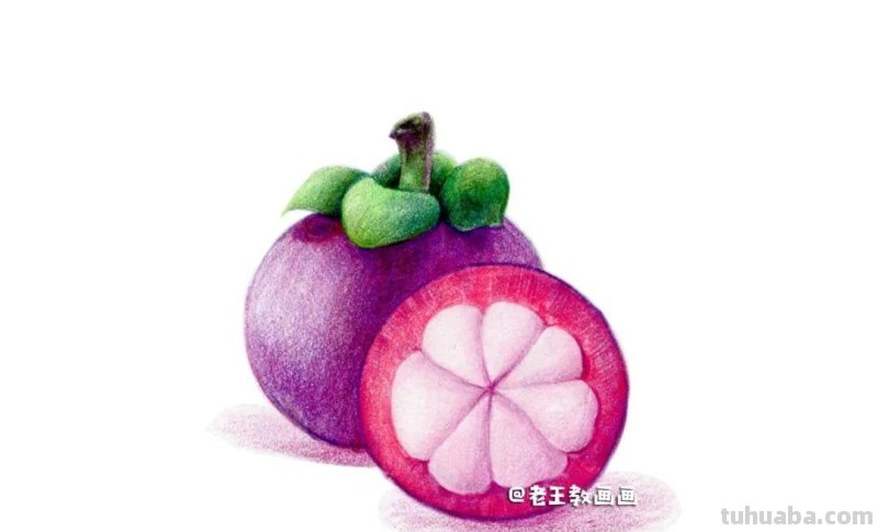 彩铅入门小教程 · 教你画山竹