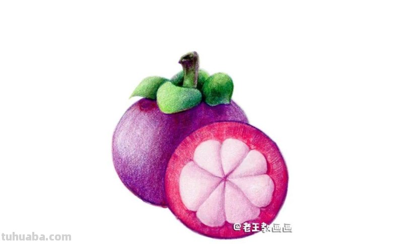 彩铅入门小教程 · 教你画山竹