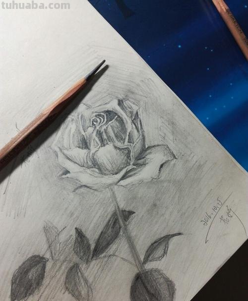 零基础也能画素描，教你画一幅玫瑰花