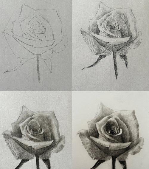 零基础也能画素描，教你画一幅玫瑰花