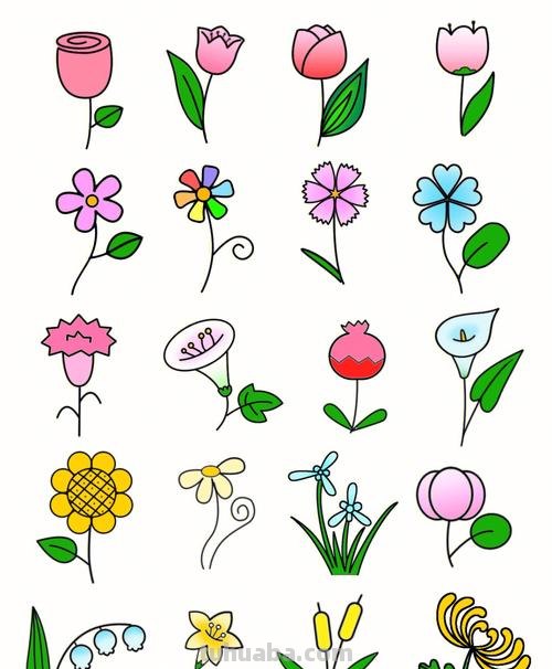 花的简笔画怎么画 花朵简笔画？