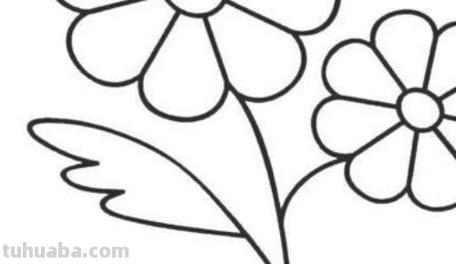 花的简笔画怎么画 花朵简笔画？