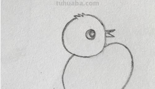 彩铅画小鸡吃虫子怎么画 怎样画小鸡？