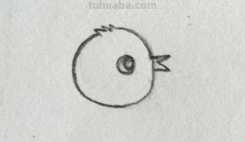 彩铅画小鸡吃虫子怎么画 怎样画小鸡？