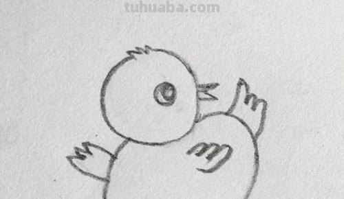 彩铅画小鸡吃虫子怎么画 怎样画小鸡？