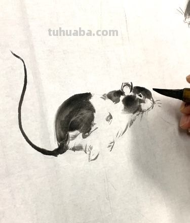 鼠国画技巧速写 鼠画逼真的表现手法？