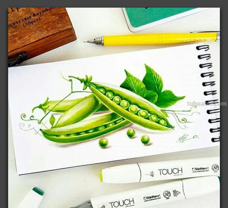 手绘｜20张马克笔手绘作品，每张都是学习的好素材