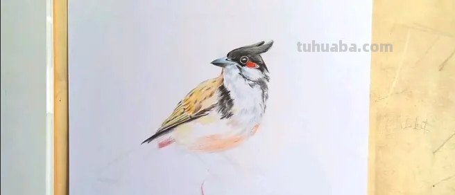 风景画彩铅花怎么画 花的彩铅画？