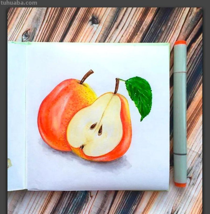 手绘｜20张马克笔手绘作品，每张都是学习的好素材