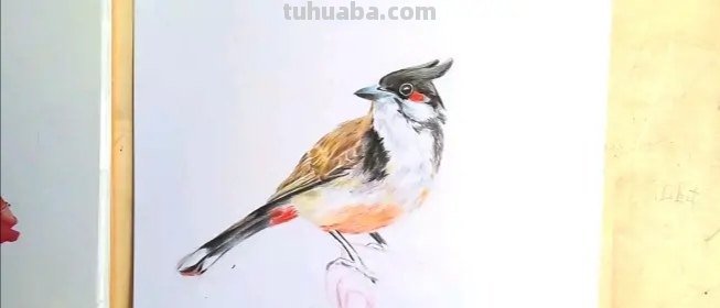 风景画彩铅花怎么画 花的彩铅画？