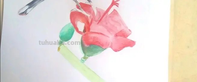 风景画彩铅花怎么画 花的彩铅画？