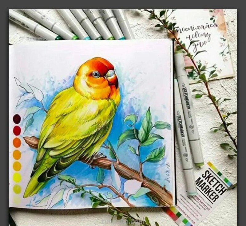 手绘｜20张马克笔手绘作品，每张都是学习的好素材