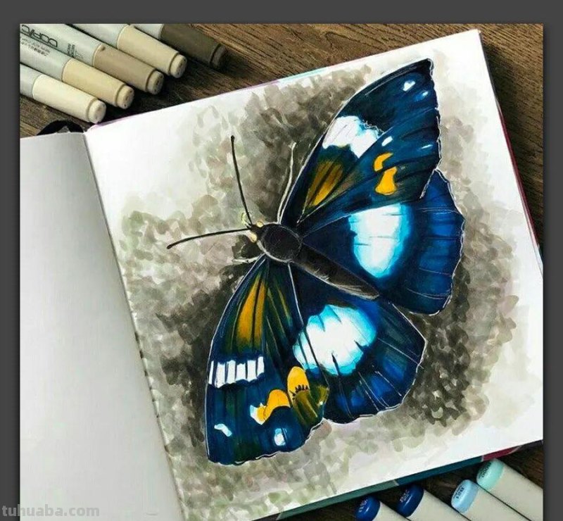 手绘｜20张马克笔手绘作品，每张都是学习的好素材