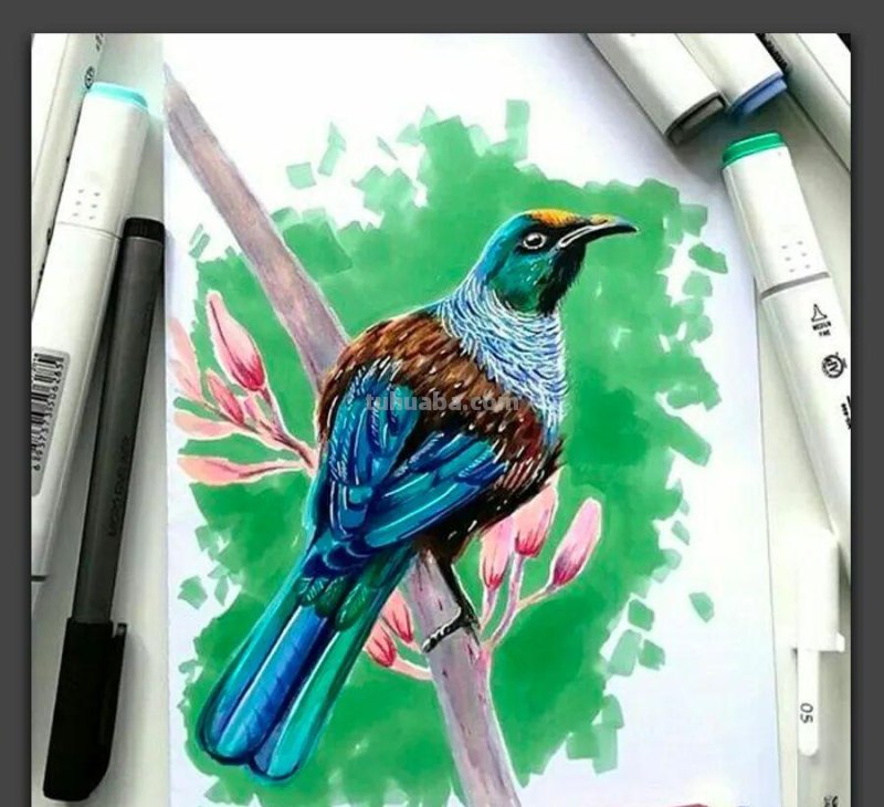 手绘｜20张马克笔手绘作品，每张都是学习的好素材