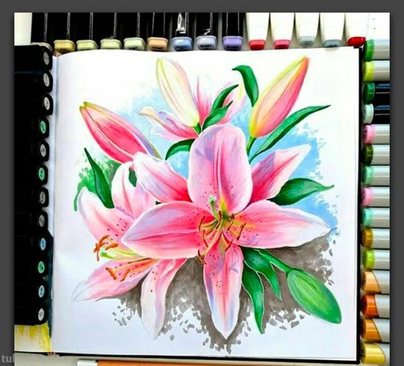 手绘｜20张马克笔手绘作品，每张都是学习的好素材